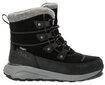 Jack Wolfskin DROMOVENTURE TEXAPORE HIGH W Winterboots