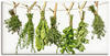 Artland Wandbild Kräuter, Pflanzen (1 St), als Alubild, Outdoorbild, Leinwandbild,