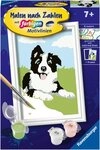 Ravensburger Malen nach Zahlen CreArt, Border Collie Welpe, Made in Europe