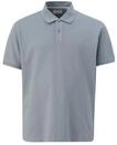 Poloshirt, Herren, Gr. XXL, grau, Jersey, Obermaterial: 100% Baumwolle, S.OLIVER MEN