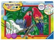 Ravensburger Malvorlage Ravensburger Malen nach Zahlen - Bunte Papageien