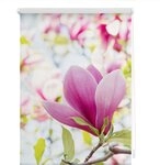 Seitenzugrollo Klemmfix Motiv Magnolie, LICHTBLICK ORIGINAL, Lichtschutz, ohne