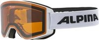 Alpina Sports Skibrille ALPINA NARKOJA DH
