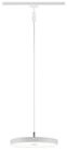 Paulmann Schienensystem-Leuchten URail Pendel Hildor 850lm 15W 3000K 230V Chrom matt,