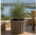 Van der Leeden Blumentopf 40x38cm Rattan Weide Sylter Korb Drypot 23L (St&uuml;ck,...
