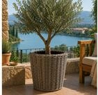 Van der Leeden Blumentopf 50x52cm Rattan Weide Sylter Korb Drypot 40L (St&uuml;ck,...
