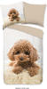 Good Morning Bettwäsche Hund Cute sand 135x200 cm+80x80 cm
