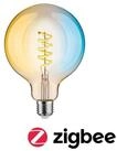 Paulmann LED-Leuchtmittel Smart Filament G125 600lm 2200K-5500K gold 230V, 1 St.