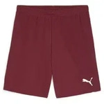 PUMA Trainingsshorts Puma Herren Short teamGOAL Shorts 705752 rot S