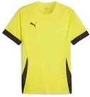 PUMA Fu&szlig;balltrikot Puma Kinder Trikot teamGOAL Matchday Jersey jr 705748