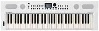 Roland Home-Keyboard Roland GO:KEYS 5