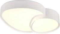 TRIO Leuchten LED Deckenleuchte RISE, LED Deckenlampe 21W 2400 Lumen warmwei&szlig;...
