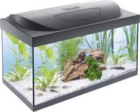 Tetra Aquarien-Set Tetra Aquarium-Komplettset LED Starter Line 54 L