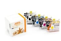 Supplies Germany y = 15 ml Tintenpatrone (1-tlg., Tintenpatrone MultiPack Bk,C,M,Y)