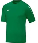Jako Fu&szlig;balltrikot 4233 Trikot Team KA gr&uuml;n 104