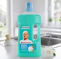 MEISTER PROPER Meister Proper Allzweckreiniger Fr&uuml;hlingserwachen, 1 l
