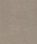 Rasch Vliestapete Vliestapete 315158 Braun-hellbraun Uni 10,05 m x 0,53 m