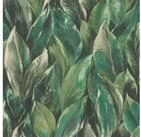 Rasch Vliestapete 537345 Tapete Botanical Jungle 53 x 1005 cm Rasch Curiosity