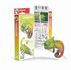 BrainBox Spiel EUGY - 3D Bastelset Cham&auml;leon