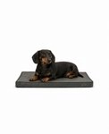 lionto Tierkissen orthop&auml;disch, druckentlastend, Lederimitat,