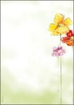 Sigel Motivpapier SIGEL Motivpapier Spring Flowers