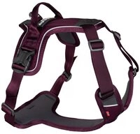 Non-stop dogwear Hunde-Geschirr Hundegeschirr Ramble Harness lila