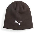 PUMA Strickm&uuml;tze Puma M&uuml;tze individualWINTERIZED Tech Beanie 024943