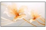 XGIMI 100 UST ALR Screen Faltrahmenleinwand (1,4-fache Helligkeitssteigerung)...