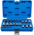 BGS Bit-Set BGS Bit-Einsatz-Satz Antrieb Innenvierkant 6,3 mm (1/4) / 12,5 mm (1