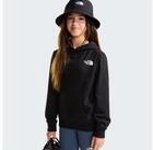 The North Face Kapuzensweatshirt TEEN BOX NSE REGULAR HOODIE mit Logos auf Vorder-