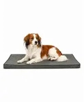 lionto Tierkissen orthop&auml;disch, druckentlastend, Lederimitat,