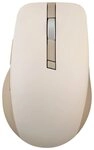 Asus Maus