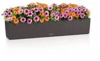 Lechuza&reg; Balkonkasten BALCONERA Stone 100 graphitschwarz (Komplettset)
