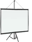 vidaXL 50aposapos 43 Beamer Leinwand mit Stativ 50 Zoll 43 Pull-Up-Leinwand