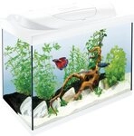 Tetra Aquarium Tetra Aquarium Starter Line LED 80 L wei&szlig;