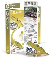 BrainBox Spiel EUGY - 3D Bastelset Alligator