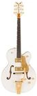 Gretsch Halbakustik-Gitarre, Halb-Akustik Gitarren, Hollow-Body Modelle, Professional