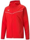 PUMA Allwetterjacke TEAMRISE ALL WEATHER JACKET mit Kapuze, mit