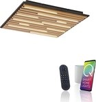 Neuhaus Q SMART HOME LIGHTS LED Wandleuchte Q-AKUSTIK, Smart Home, LED fest