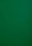 EXACOMPTA Buchbindemappe 100er Einbanddeckel Evercover 270g/qm Lederpr&auml;gung A4
