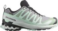 Salomon SHOES XA PRO 3D V9 GTX W QuSh/Lily/Bluha 000 Laufschuh