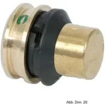 Viega Wasserrohr Viega Raxofix Verschlussst&uuml;ck aus Messing, 25 mm, Modell 5356