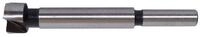 Makita Forstnerbohrer Makita Forstnerbohrer 15x90 mm - D-41925
