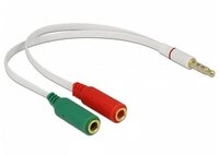 Delock Adapterkabel Klinke 2 x Audio-Adapter