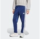 adidas Sportswear Sporthose DAYREADY