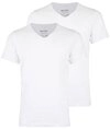 Blend T-Shirt BHDinton (2-tlg) T-Shirt mit V-Ausschnitt