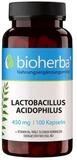 BIOHERBA R Bioherba Lactobacillus Acidophilus 450 mg 100 Kapseln
