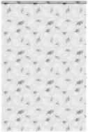 vidaXL Duschrollo, Duschrollo mit Kassette 160x240 cm Stoffbreite 156 cm