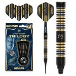 Winmau Spiel, Softdart Winmau - Michael van Gerwen - MvG - Trilogy 2464 - 20g
