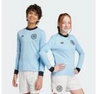 adidas Performance Fu&szlig;balltrikot DFB ANNIVERSARY LONG SLEEVE TRIKOT (1-tlg)